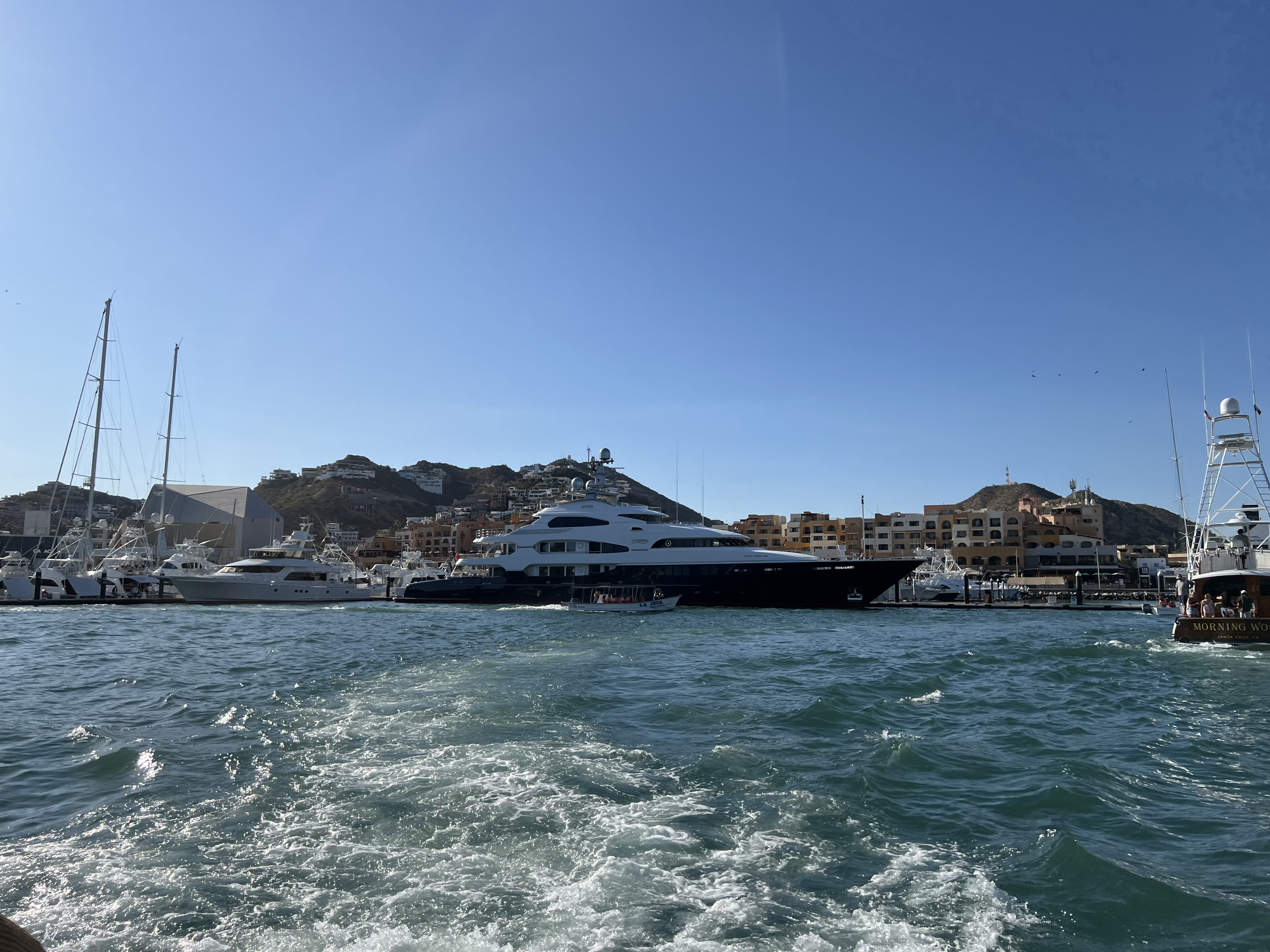 ./2024/13 - Cabo/IMG_4617.jpg